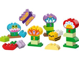 Creative Garden & Flowers