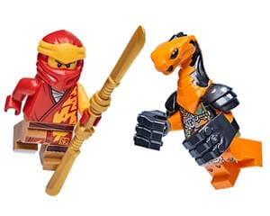 Kai vs. Boa Destructor