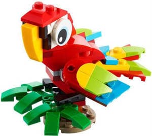 Tropical Parrot
