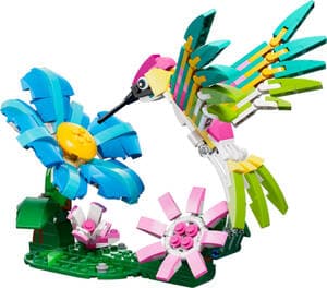 Wild Animals: Colorful Hummingbird