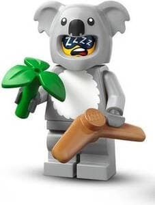 Koala Suit
