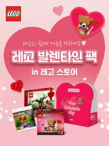Valentine's Day Pack